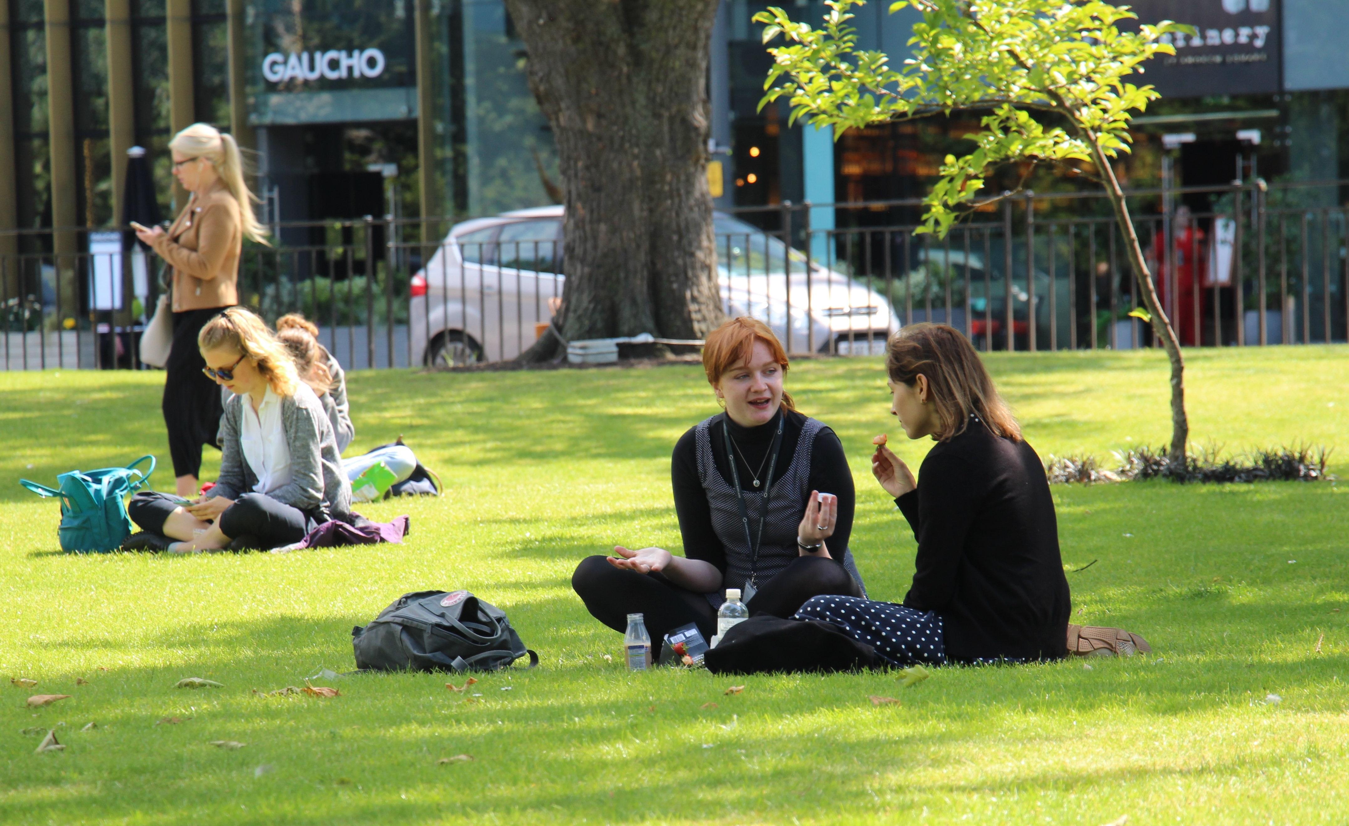 Several people sitting on a sunny patch of grass.